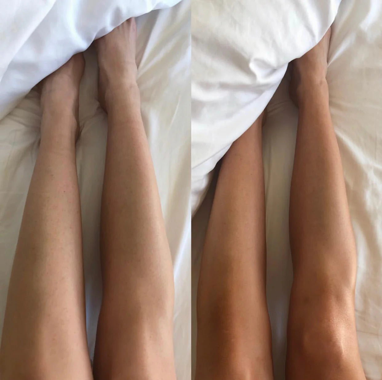 BeetTan Self Tanning Lotion