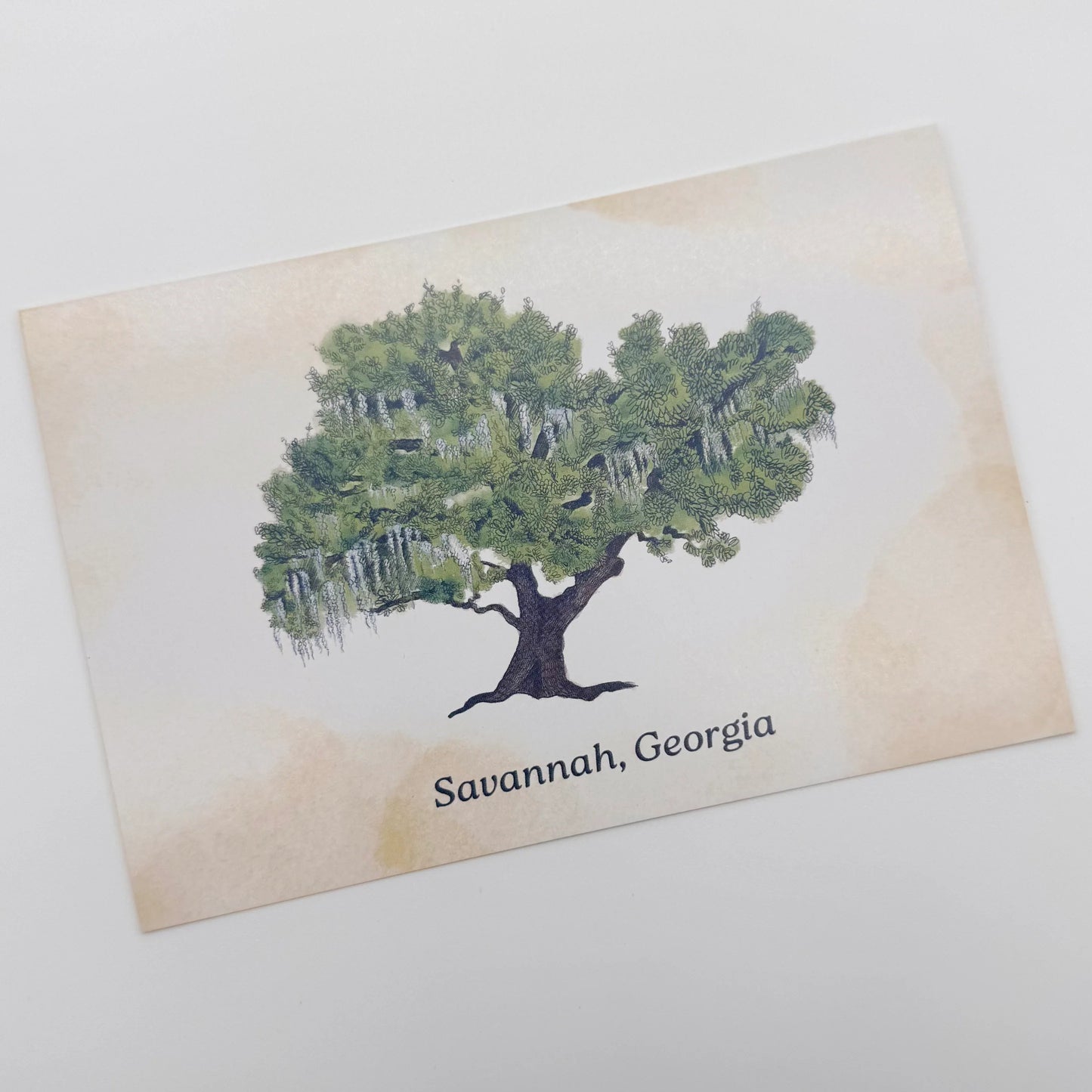 Live Oak Savannah Postcard