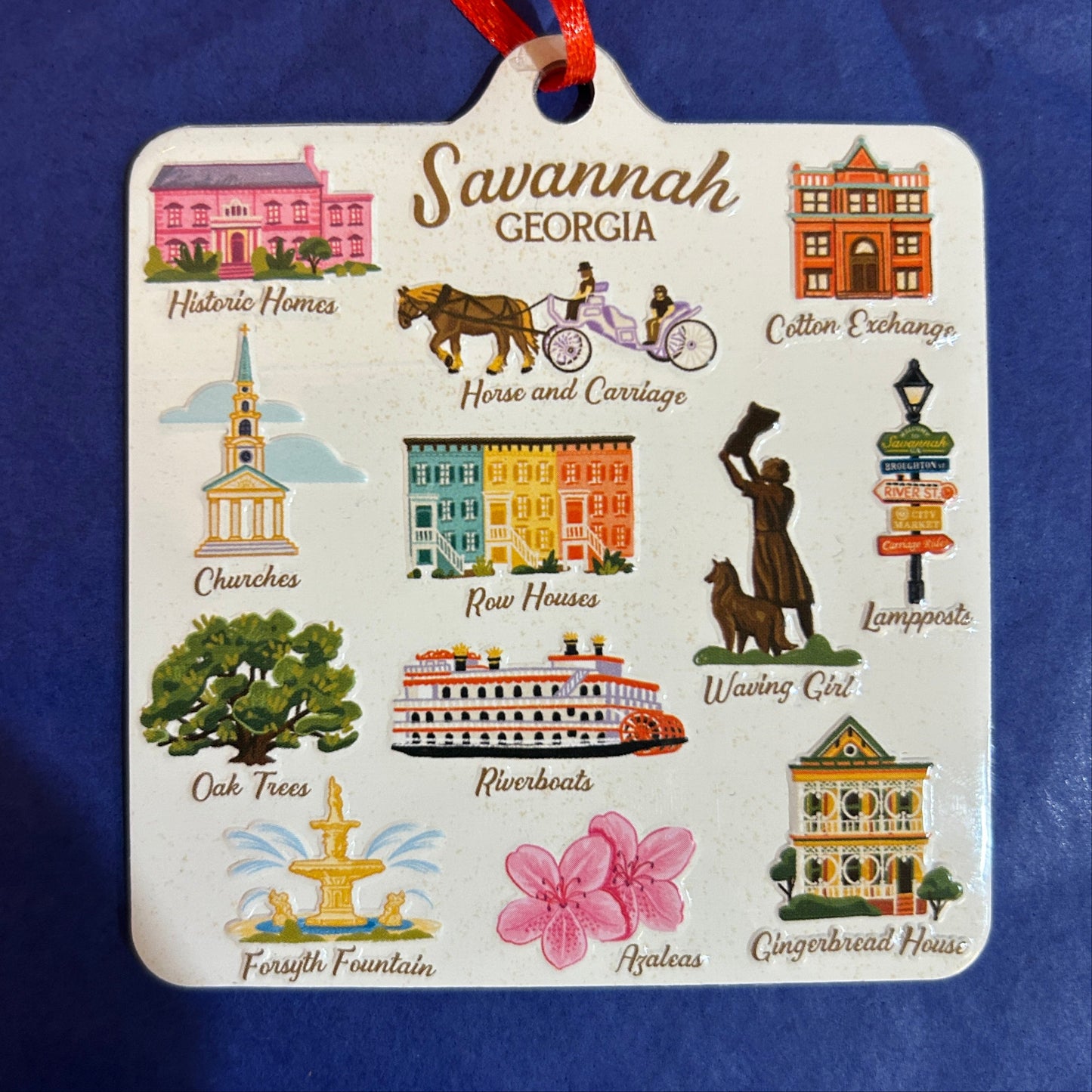 Savannah Ornaments