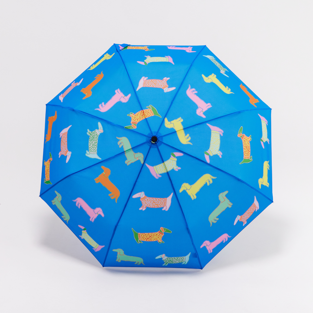 Dogs in Blue Dachshund Eco-friendly Duckhead Umbrella