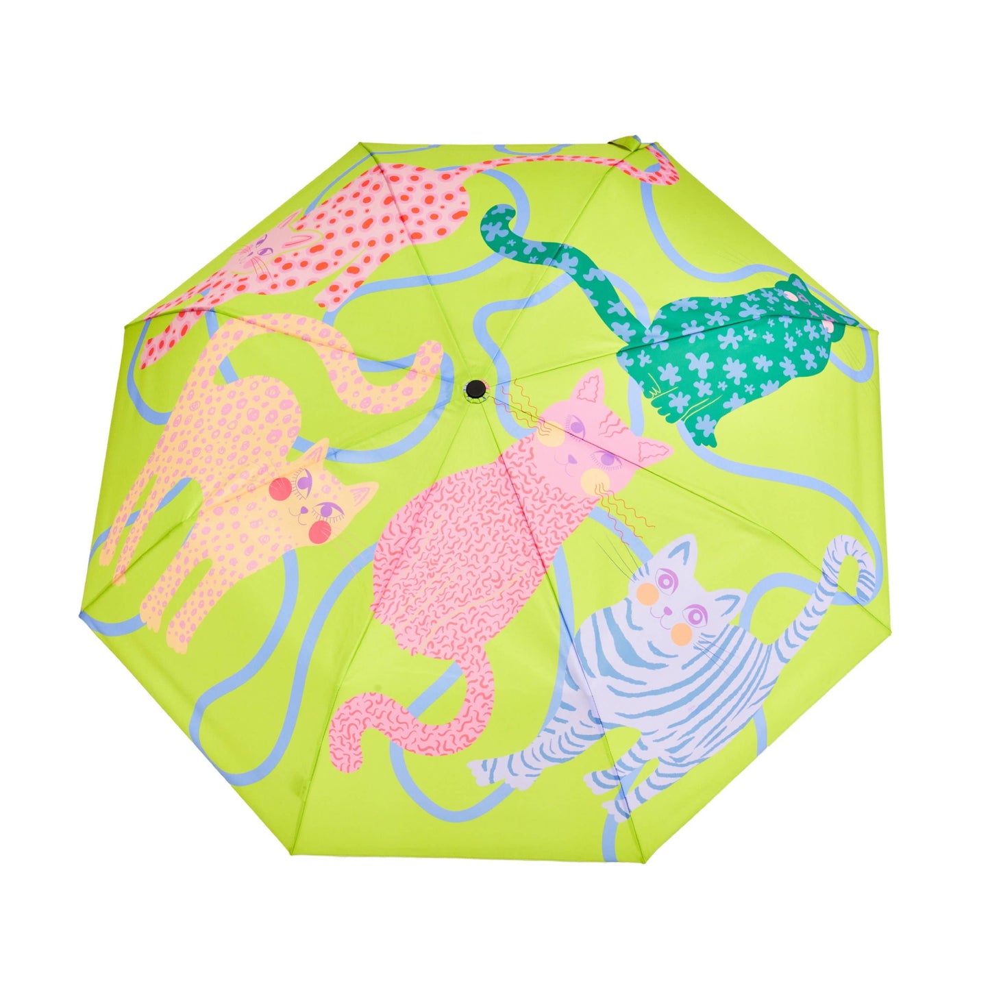 Multipack - Fuchsia/Lime/Ice Arty Cats Duck Umbrellas