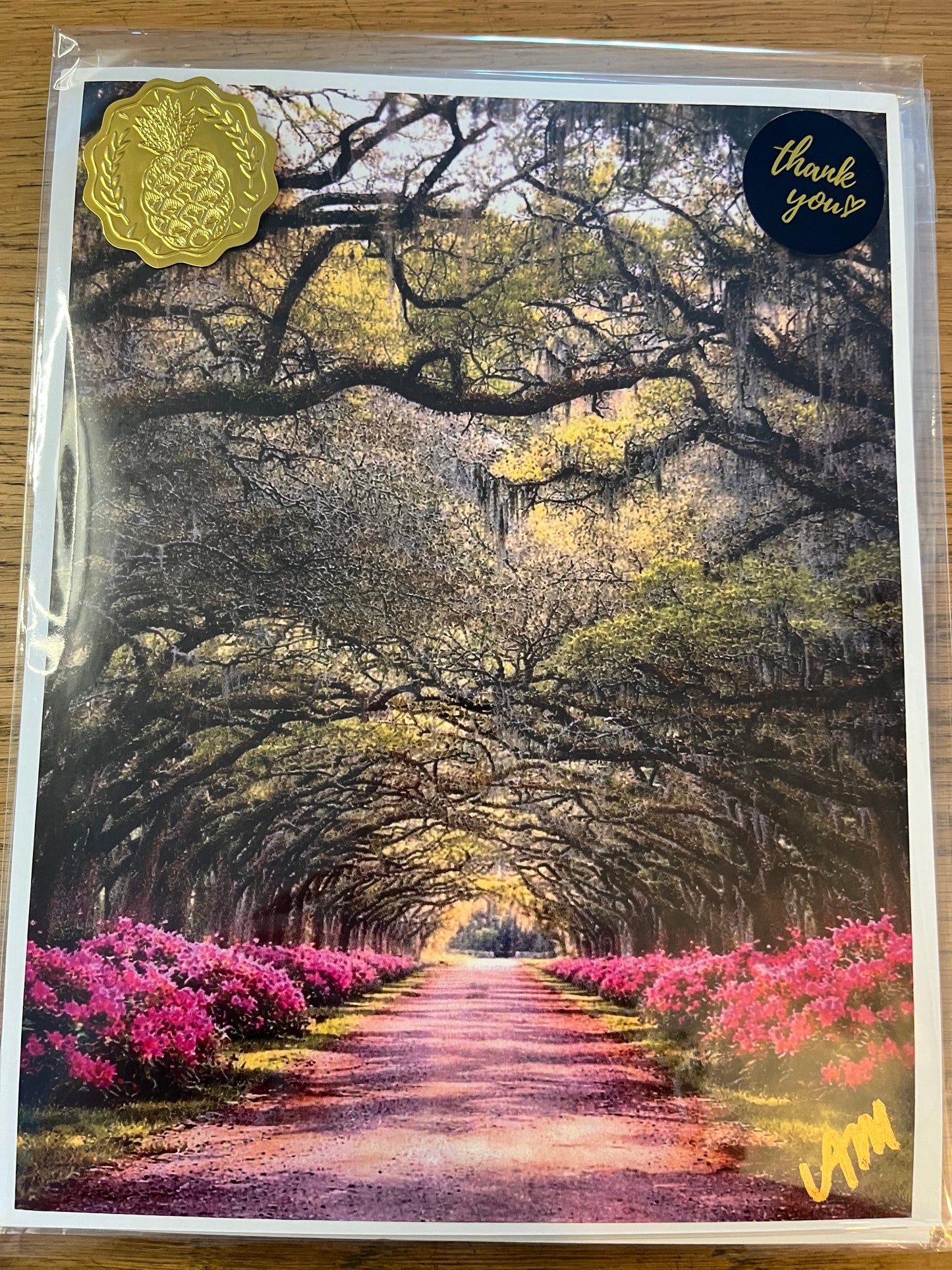 Shello Gorgeous Artwork Prints - Unmatted