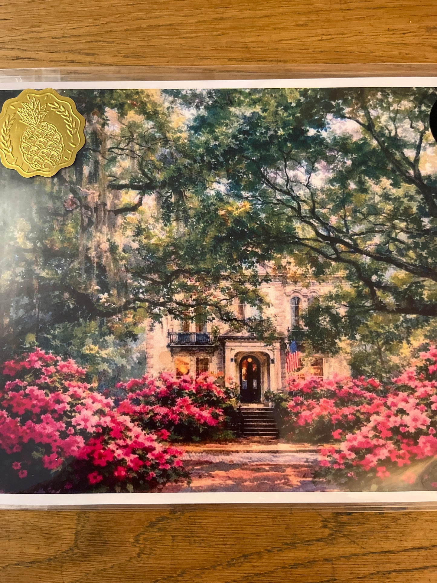 Shello Gorgeous Artwork Prints - Unmatted