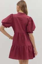 Embroidered Puff Sleeve Mini Dress