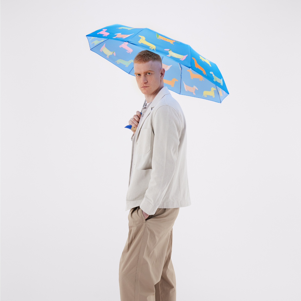 Dogs in Blue Dachshund Eco-friendly Duckhead Umbrella