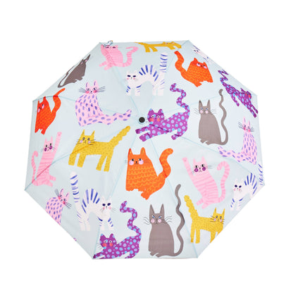 Multipack - Fuchsia/Lime/Ice Arty Cats Duck Umbrellas